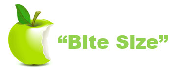 Bite Size Webinars